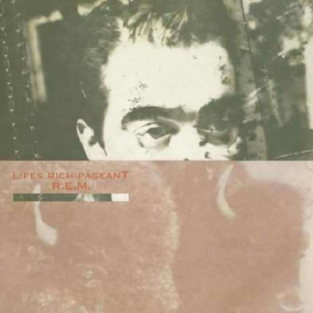 Lifes Rich Pageant