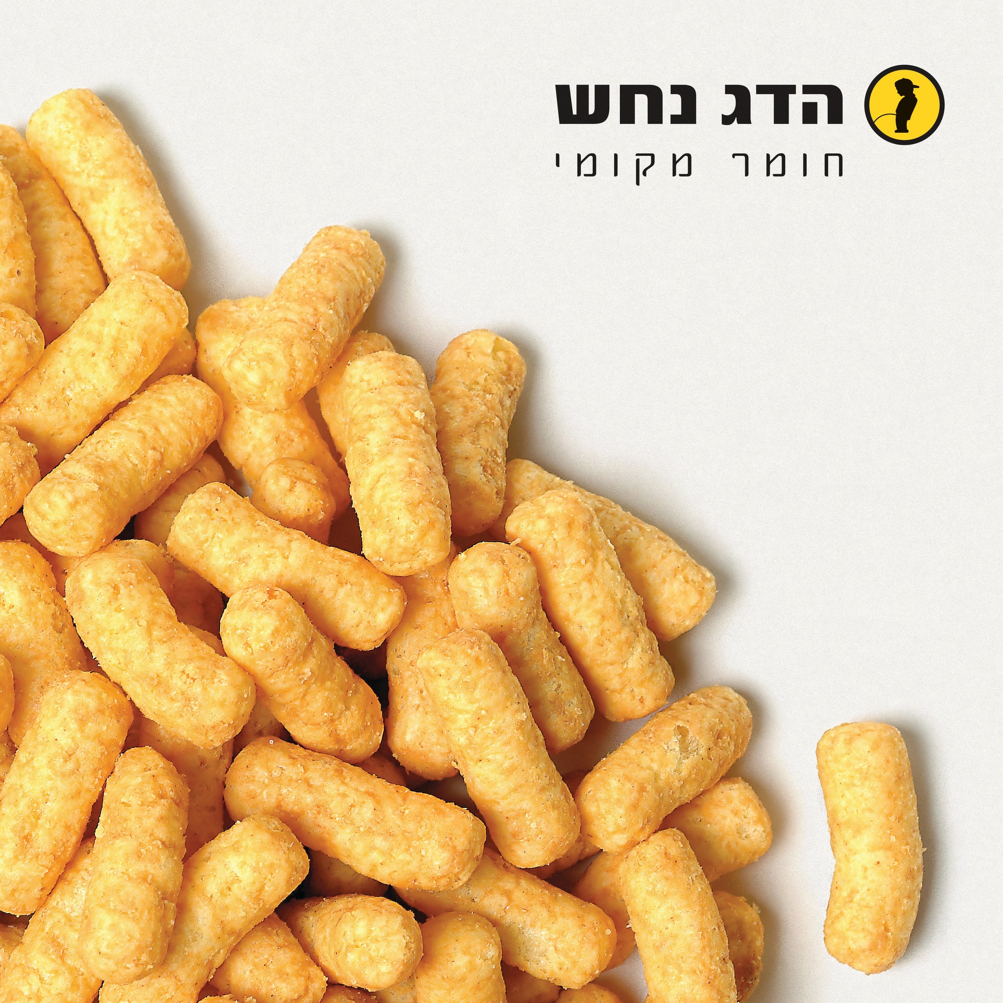 חומר מקומי - תקליט כפול שקוף