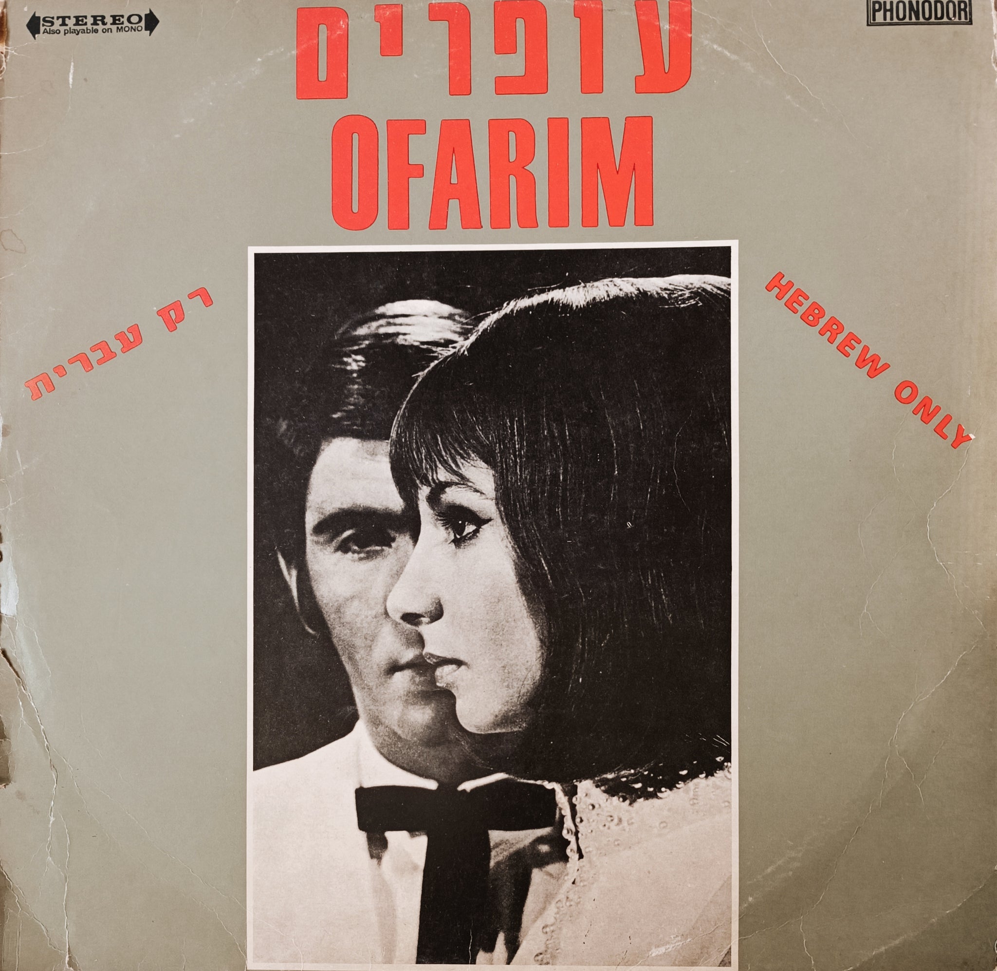 רק עברית