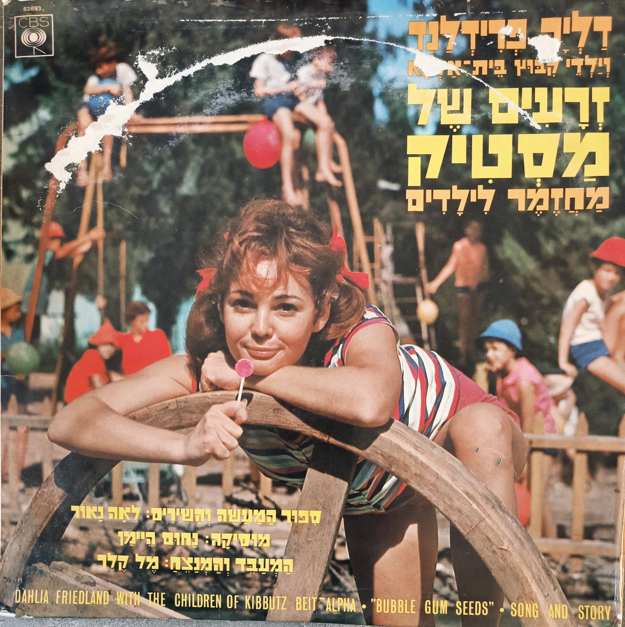 זרעים של מסטיק