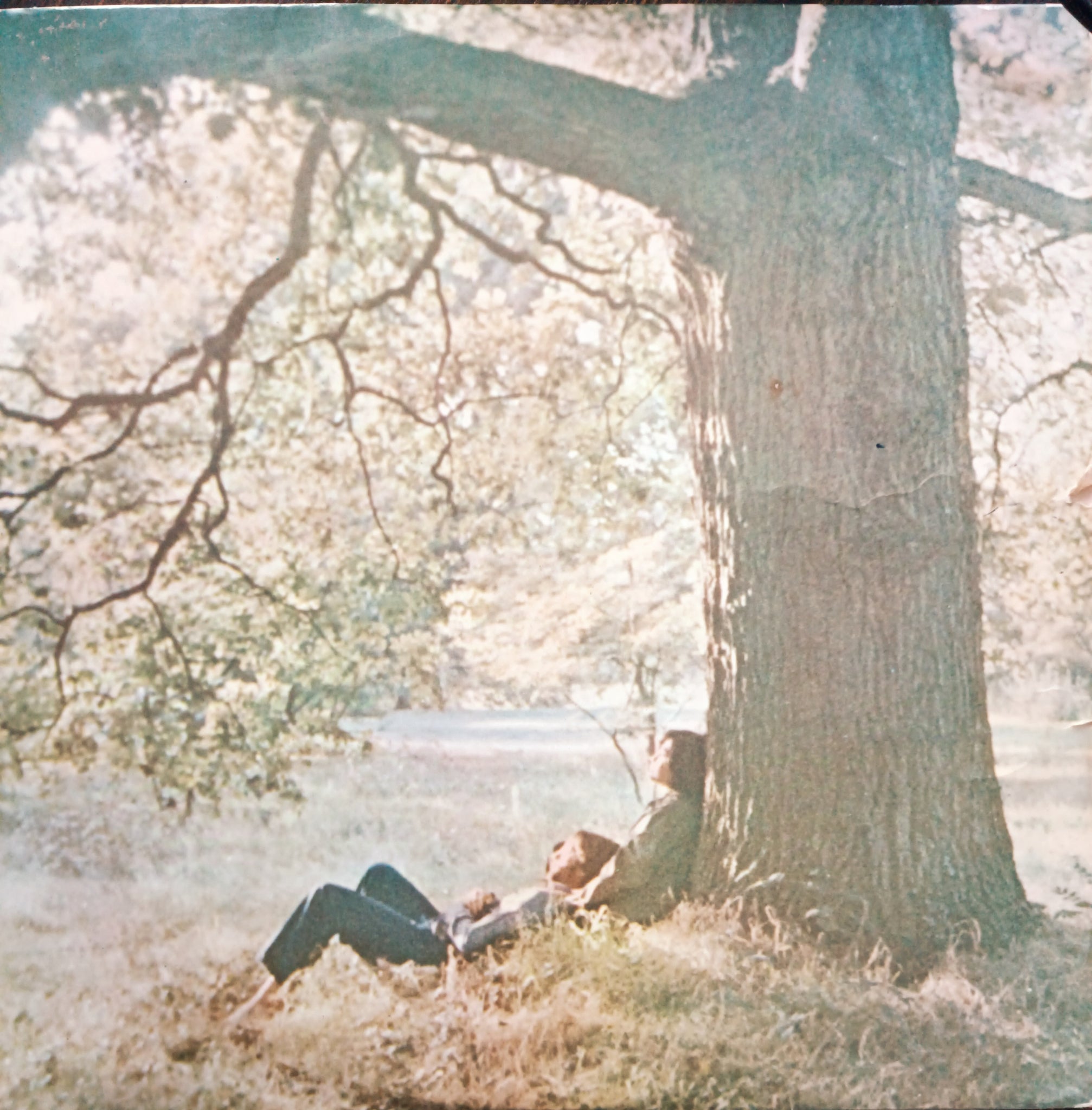 Plastic Ono Band