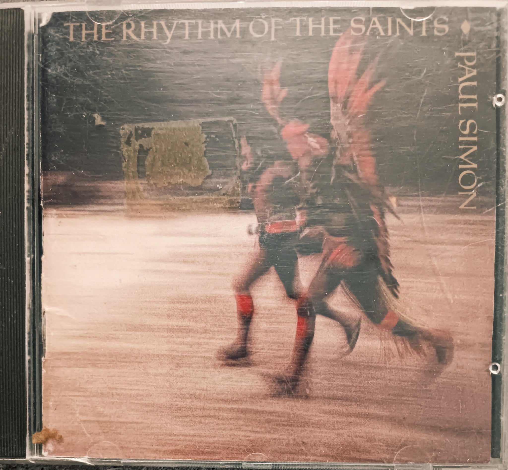 The Rhythm Of The Saints