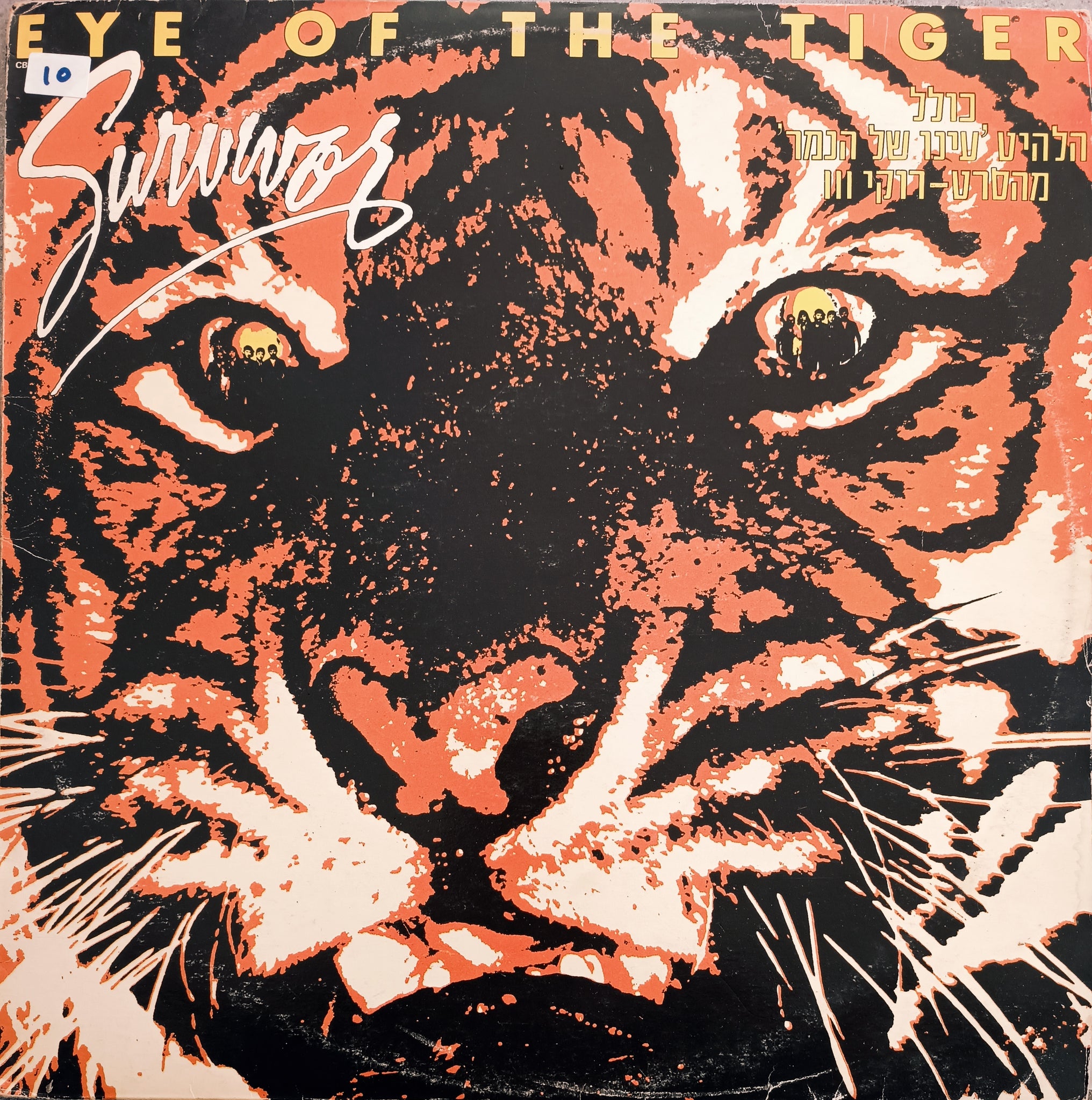 Eye Of The Tyger