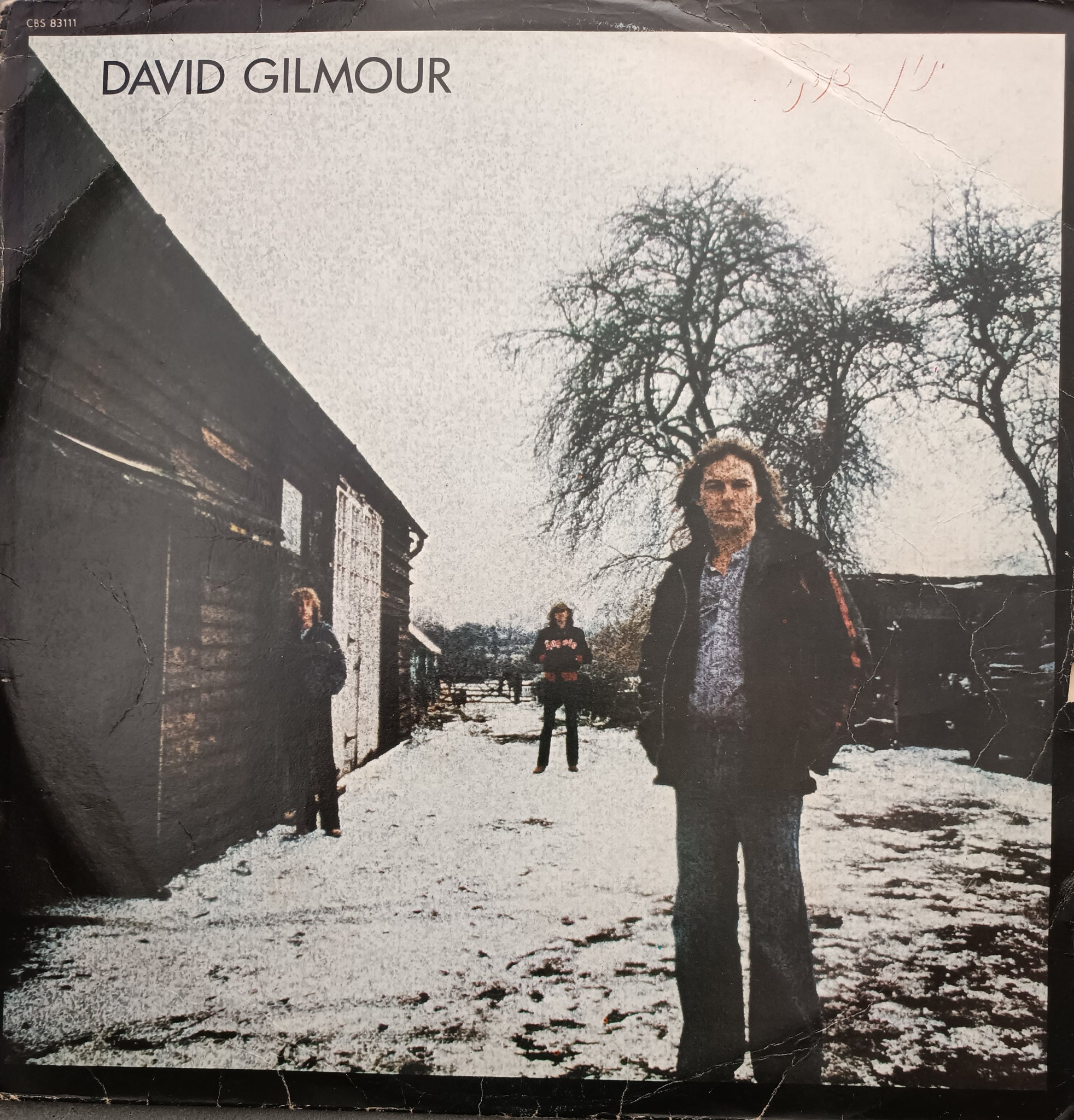 David Gilmour