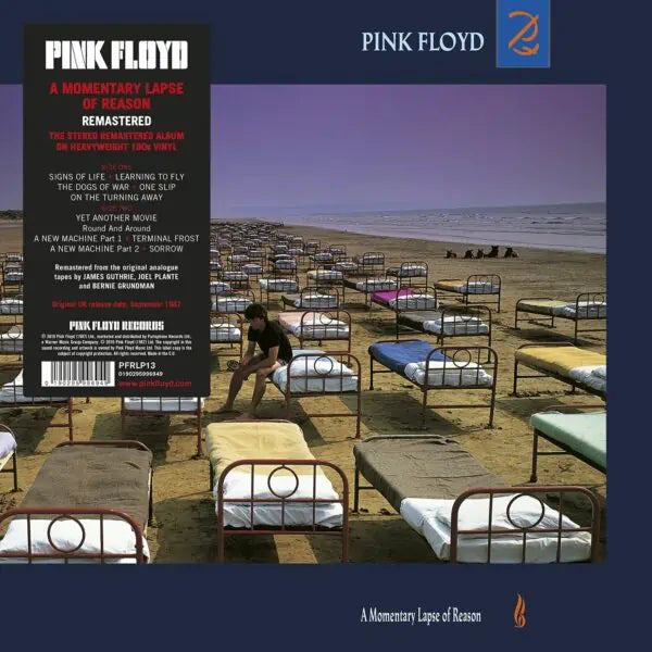 A Momentary Lapse Of Reason