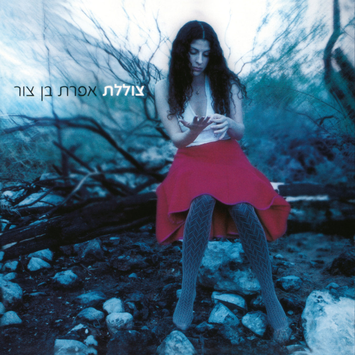 צוללת - תקליט לבן