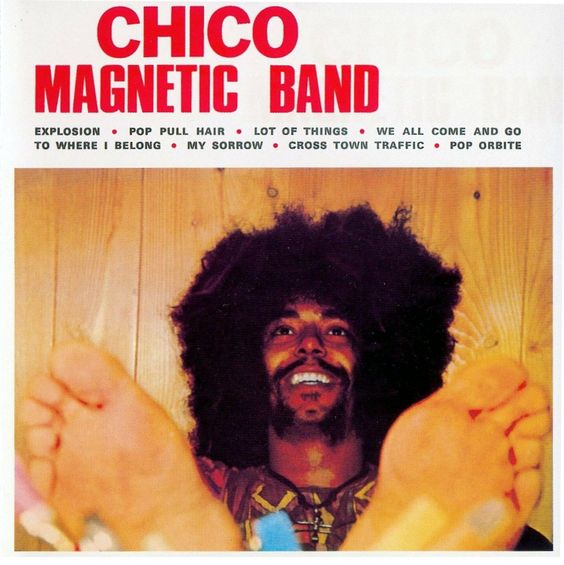 Chico Magnetic Band