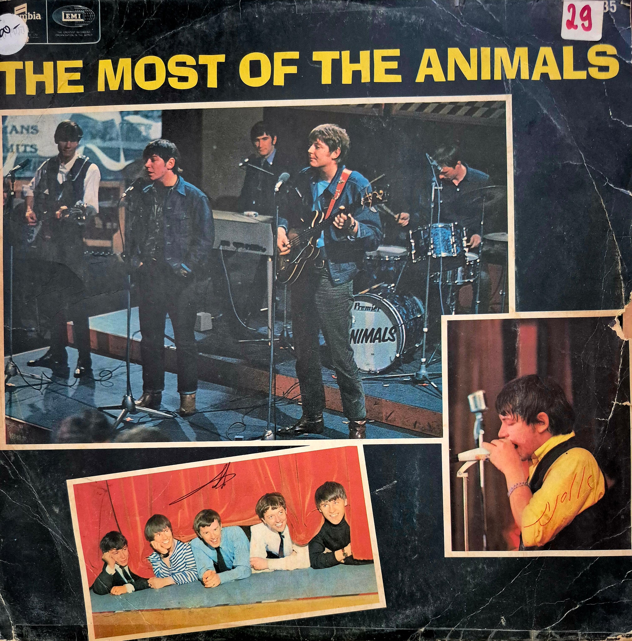 The Most Of The Animals