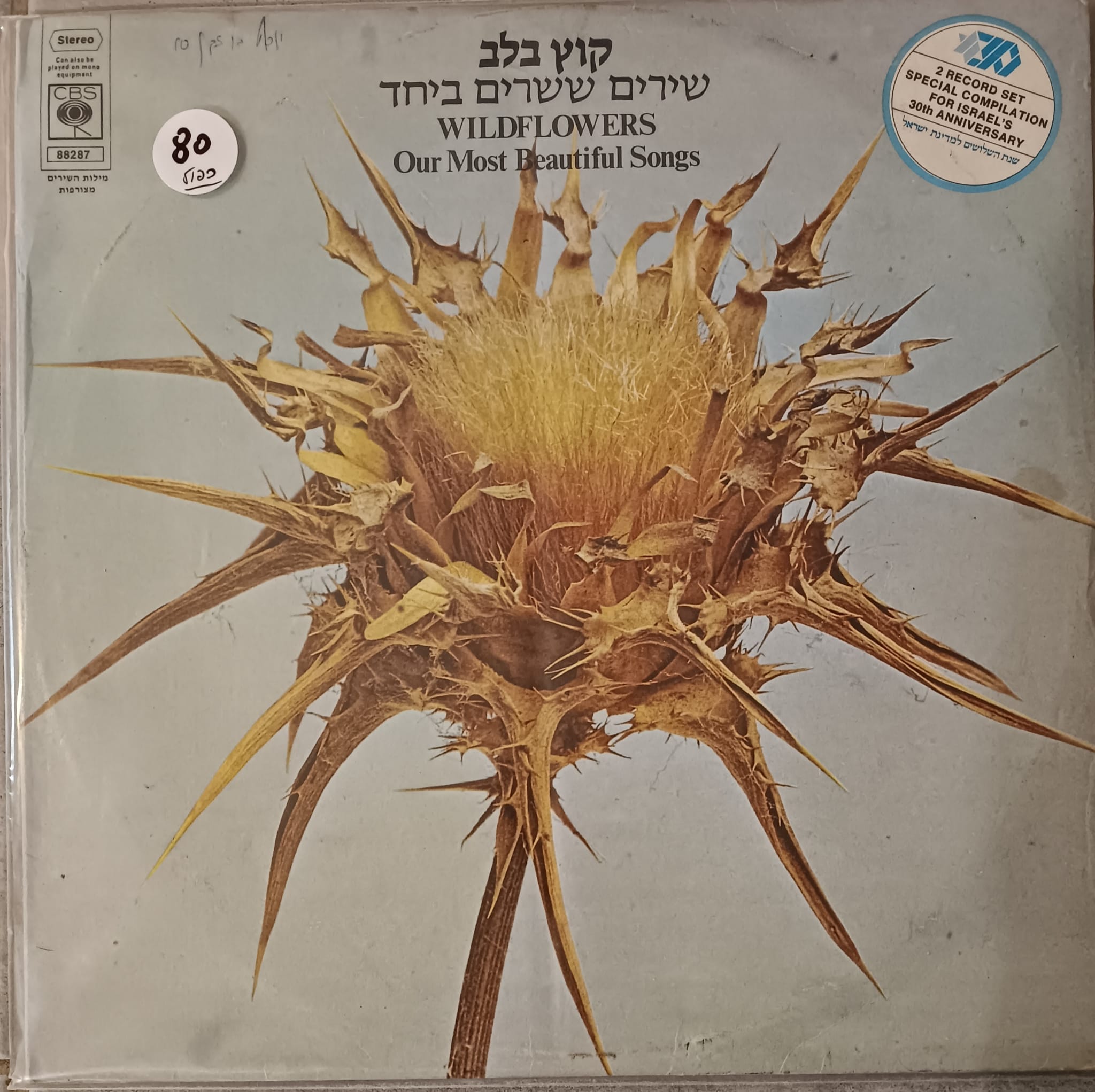 שרים ששרים ביחד - תקליט כפול