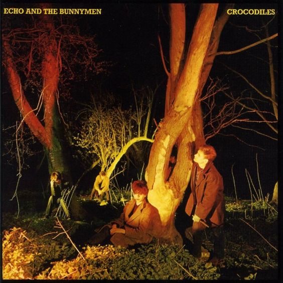 Echo & The Bunnymen | Crocodiles