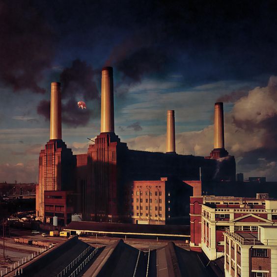 Pink Floyd | Animals