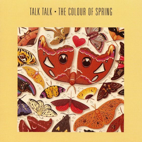 Talk Talk | colorur of spring