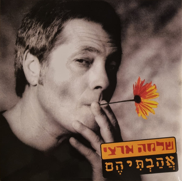 אהבתיהם - תקליט כפול