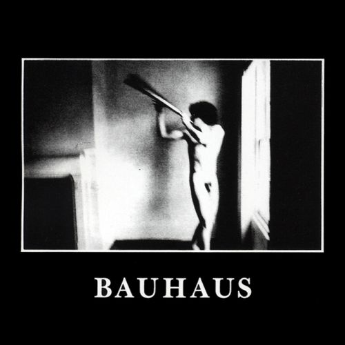 Bauhaus  | In the flat field