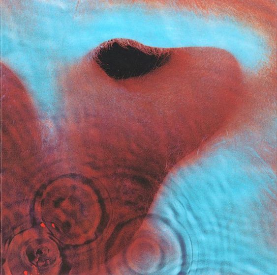 Pink Floyd | Meddle