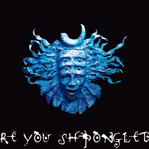 Are You Shpongled - 3LP