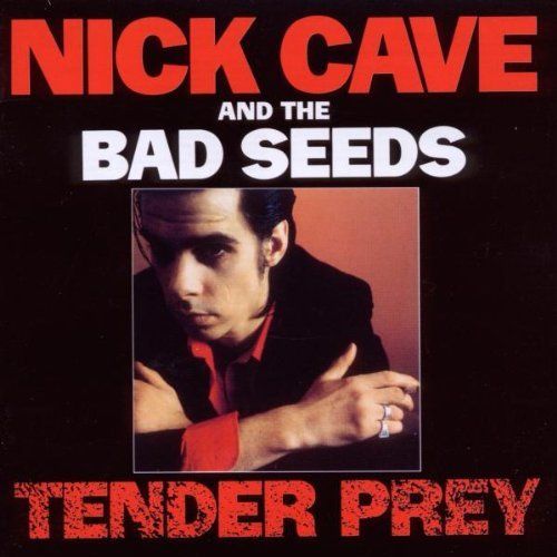 Nick Cave | Tender Pray