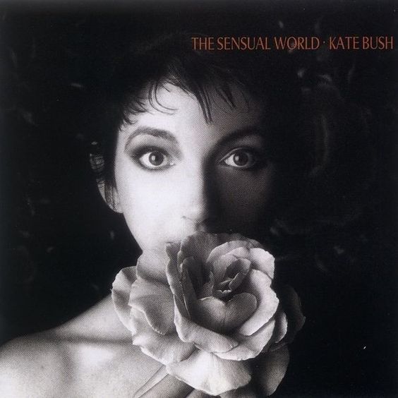 Kate Bush | The Sensual World