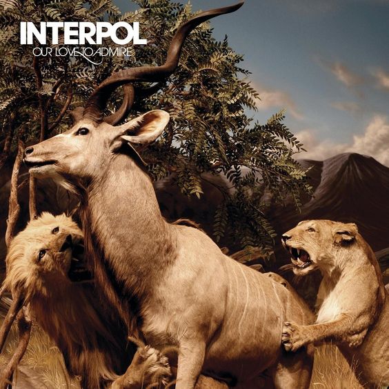 Interpol | Our Love To Admire - 2LP